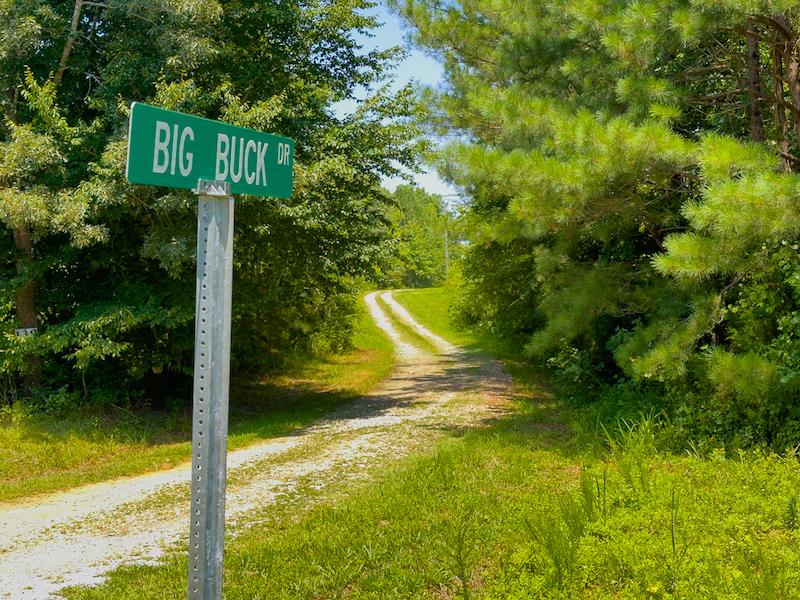 Warrenton, NC 12 acres Land and Farms Realty